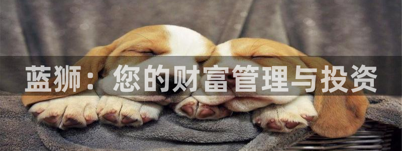 PG电子体育免费注册入口：蓝狮：您的财富管理与投资