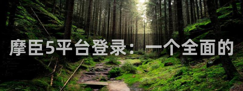 PG电子体育论坛：摩臣5平台登录：一个全面的