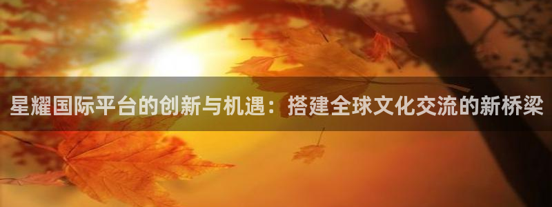 PG电子体育平台登录入口：星耀国际平台的创新与机遇：搭建全球文化交流的新桥梁