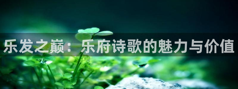 PG电子平台主管：乐发之巅：乐府诗歌的魅力与价值