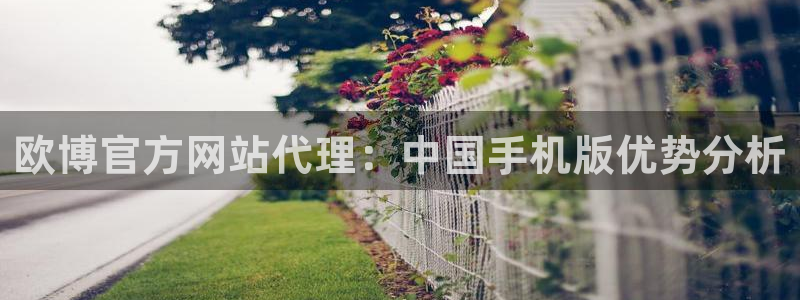 PG电子平台：欧博官方网站代理：中国手机版优势分析