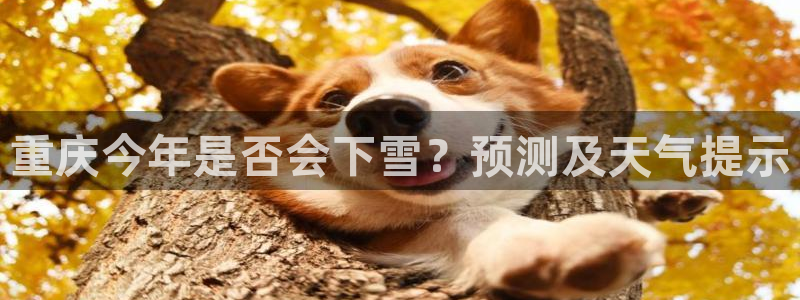PG电子登录注册：重庆今年是否会下雪？预测及天气提示