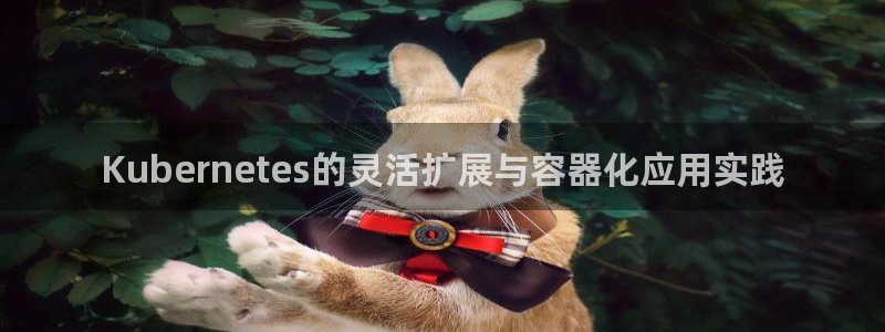 PG电子3官网：Kubernetes的灵活扩展与容器化应用实践