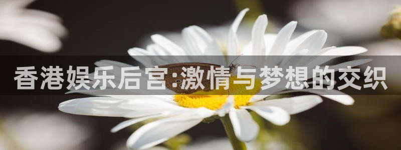 上海PG电子汽车电子有限公司：香港娱乐后宫:激情与梦想的交织