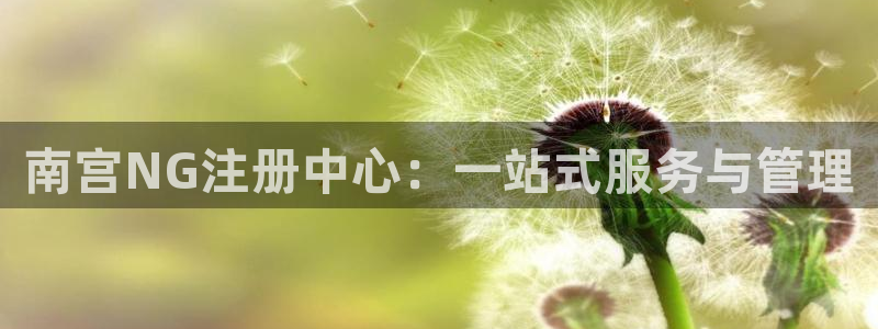 PG电子体育网页版入口：南宫NG注册中心：一站式服务与管理