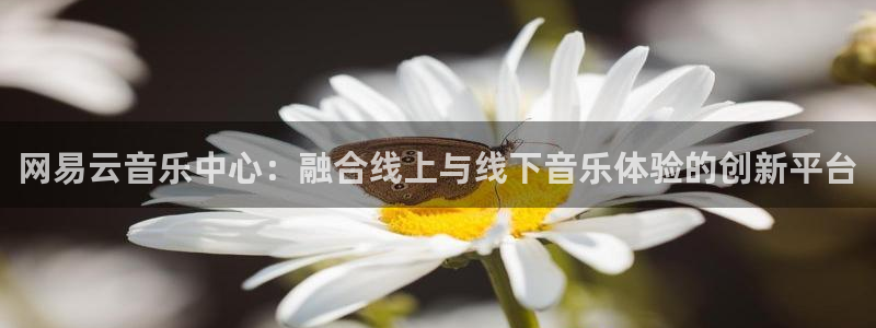 PG电子体育免费注册入口：网易云音乐中心：融合线上与线下音乐体验的创新平台