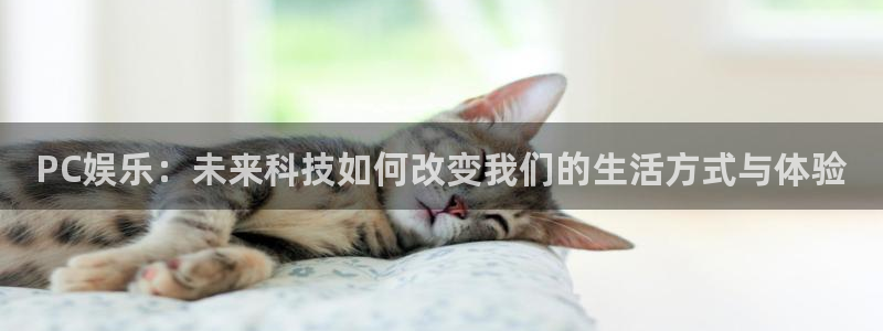 PG电子集团股票：PC娱乐：未来科技如何改变我们的生活方式与体验