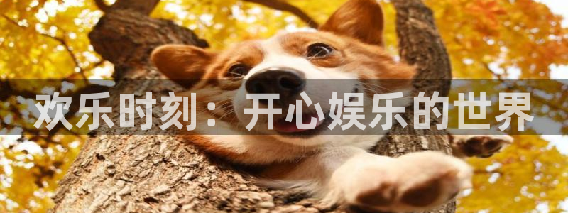 PG电子体育f开号：欢乐时刻：开心娱乐的世界