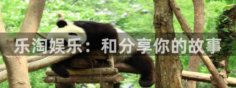 PG电子体育代理申请流程：乐淘娱乐：和分享你的故事