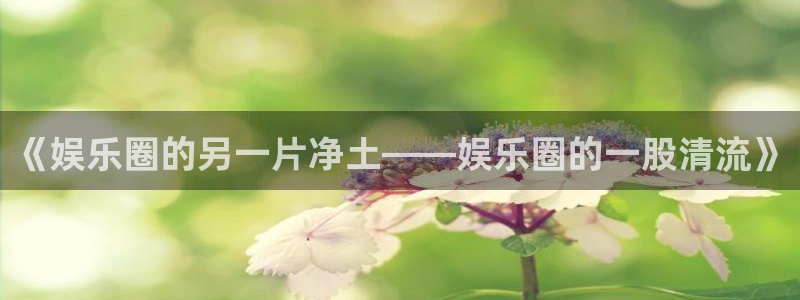 PG电子官网入口：《娱乐圈的另一片净土——娱乐圈的一股清流》