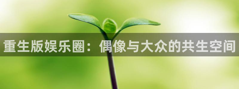 PG电子3注册：重生版娱乐圈：偶像与大众的共生空间