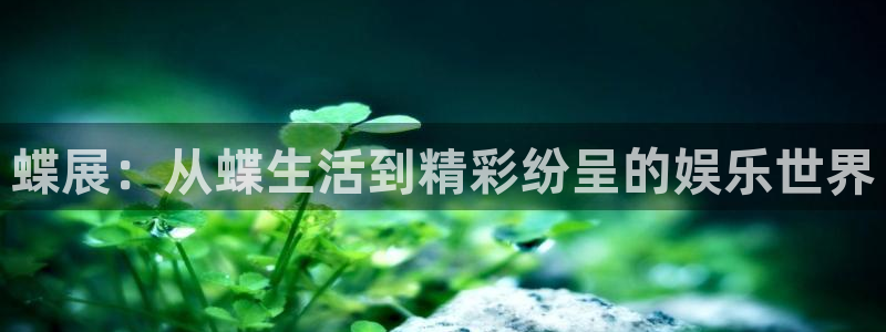 PG电子体育平台开号链接：蝶展：从蝶生活到精彩纷呈的娱乐世界