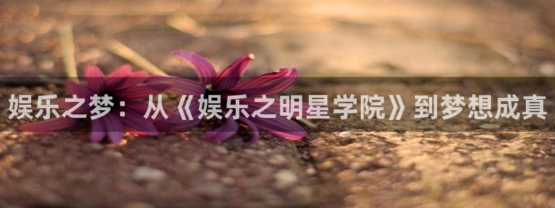 PG电子5注册：娱乐之梦：从《娱乐之明星学院》到梦想成真