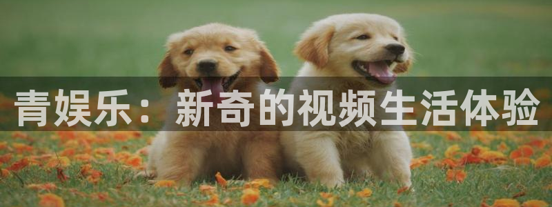 PG电子体育注册平台：青娱乐：新奇的视频生活体验