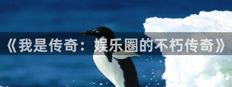 PG电子4代理：《我是传奇：娱乐圈的不朽传奇》