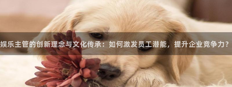 PG电子平台官网：娱乐主管的创新理念与文化传承：如何激发员工潜能，提升企业竞争力？