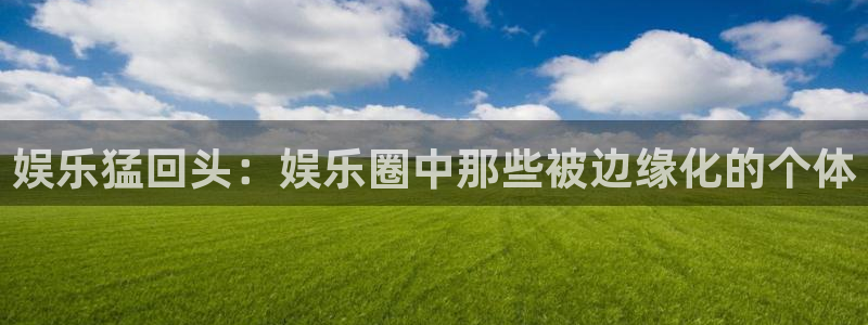 PG电子现在优惠多少：娱乐猛回头：娱乐圈中那些被边缘化的个体