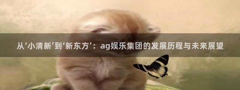 PG电子体育3在线注册：从‘小清新’到‘新东方’：ag娱乐集团的发展历程与未来展望