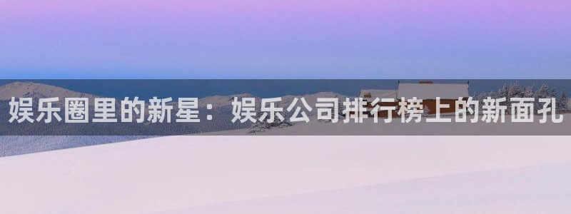 PG电子2注册：娱乐圈里的新星：娱乐公司排行榜上的新面孔