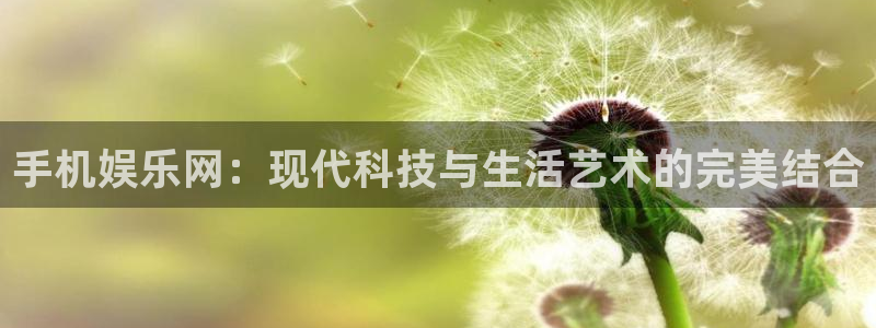 PG电子体育和杏耀是哪个公司的：手机娱乐网：现代科技与生活艺术的完美结合