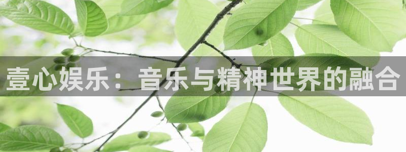 PG电子体育平台开号链接：壹心娱乐：音乐与精神世界的融合