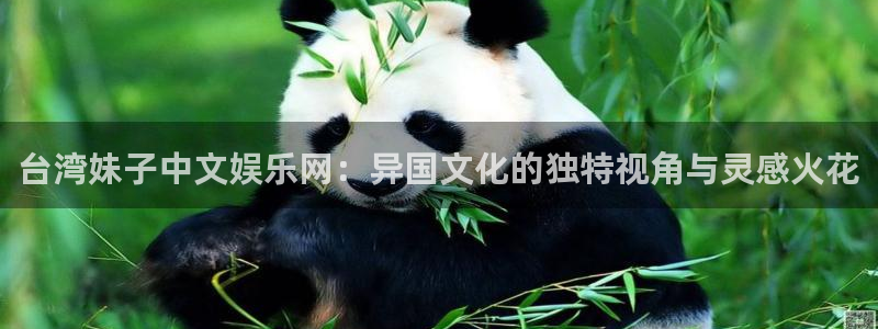 PG电子平台招商：台湾妹子中文娱乐网：异国文化的独特视角与灵感火花
