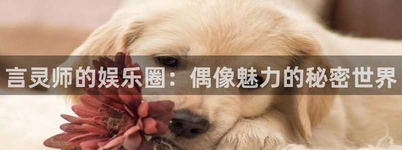 PG电子平台开户：言灵师的娱乐圈：偶像魅力的秘密世界