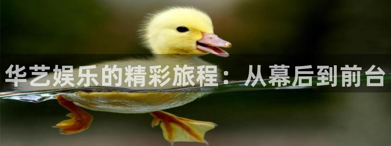 PG电子体育和杏耀是哪个公司的：华艺娱乐的精彩旅程：从幕后到前台