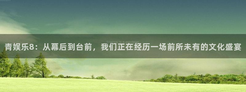 PG电子零能源集团：青娱乐8：从幕后到台前，我们正在经历一场前所未有的文化盛宴