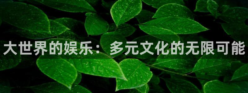 PG电子集团官网：大世界的娱乐：多元文化的无限可能