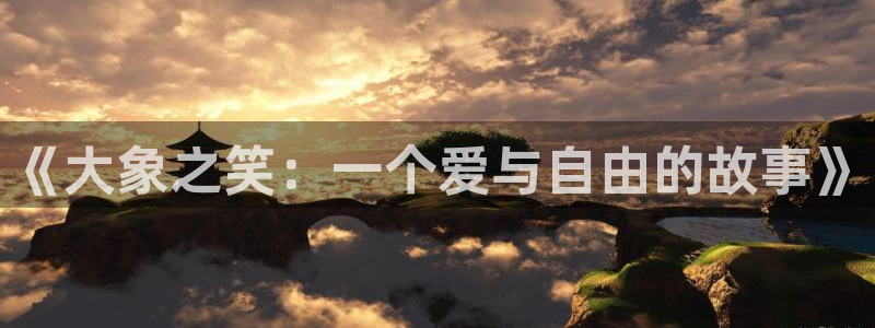 PG电子体育3：《大象之笑：一个爱与自由的故事》