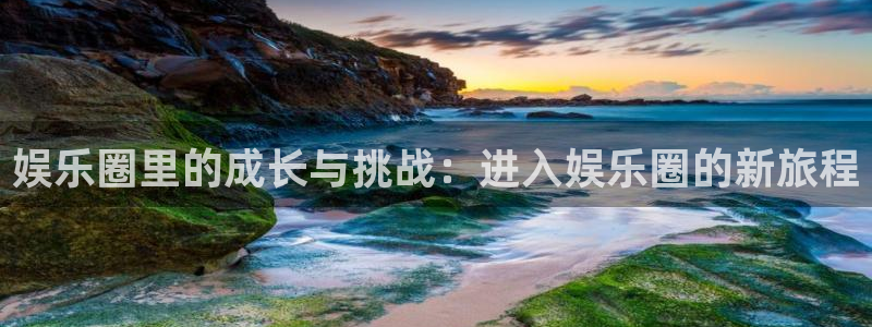 东莞市PG电子电子科技有限公司：娱乐圈里的成长与挑战：进入娱乐圈的新旅程