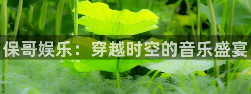 PG电子2登录地址：保哥娱乐：穿越时空的音乐盛宴