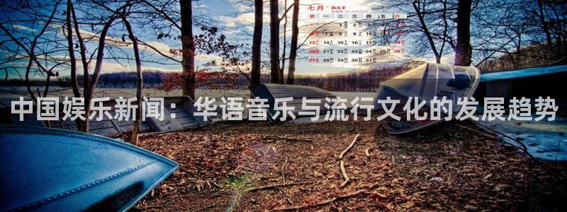 PG电子4：中国娱乐新闻：华语音乐与流行文化的发展趋势