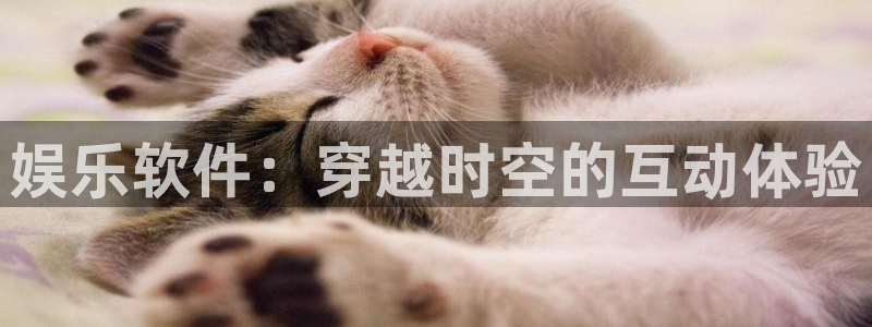 PG电子3注册：娱乐软件：穿越时空的互动体验