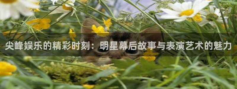 PG电子平台在线开户：尖峰娱乐的精彩时刻：明星幕后故事与表演艺术的魅力